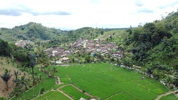natural village