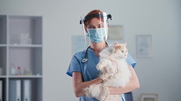 Caring for Pets Young Veterinary Doctor Wearing Mask and Face Shield is Holding a Cat in Arms While