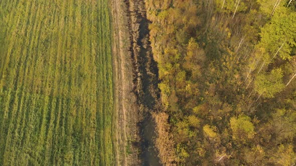 Aerial Reclamation Ditch Between Field and Forest