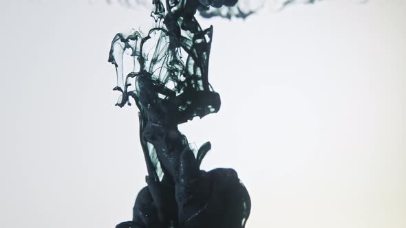 Black Nacreous Paint in Water Against White Background. alt