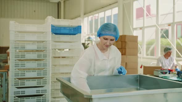 Factory Worker Checking Packing Machine. Candy Factory.