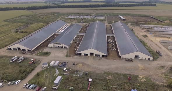 Aerial View of Dairy Farm