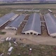 Aerial View of Dairy Farm - VideoHive Item for Sale