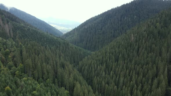 Nature of Ukraine: Carpathian Mountains Slow Motion. Aerial View