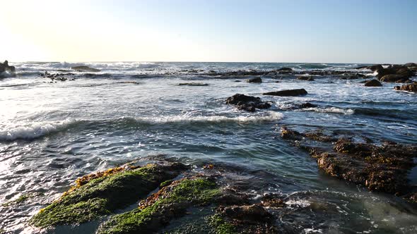 Biodiversity in sharp coastal rock formations. Low tide reveals seaweed and rich flora and fauna on