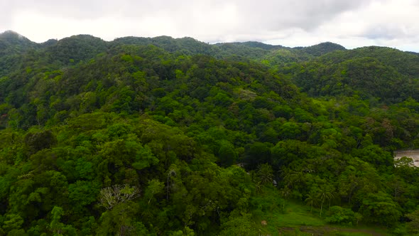 Hills and Mountains with Tropical Vegetation