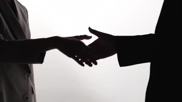 Two business partner shake hands when meeting in office, slow motion	