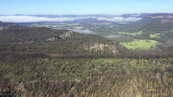 Aerial footage of forest regeneration after bushfires in The Blue Mountains in Australia