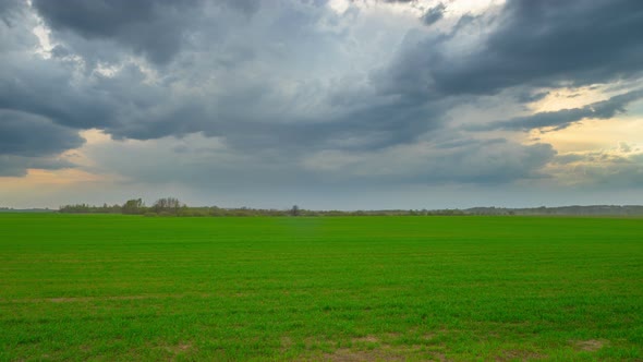 Green Field and Storm Clouds