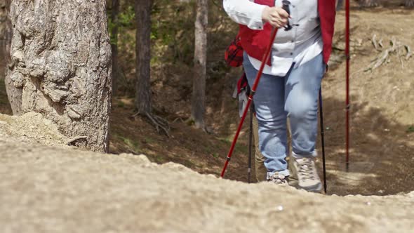 Cheerful Pensioners Trekking in Forest