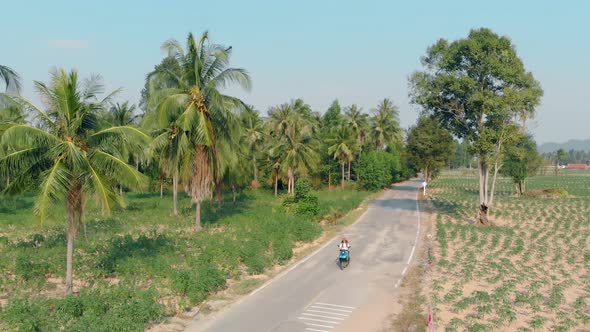 Tourists on Motorbike Ride Along Road Among Palm Tree Forest