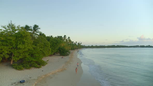 Aerial of beautiful coastline and green forest