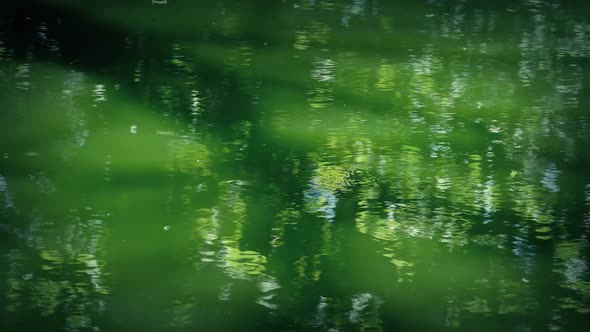 Rippling Green Pond