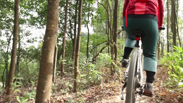 Mountain biker cycling on forest trail, slow motion