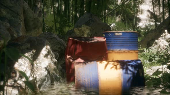 Rusty Barrels in Green Forest