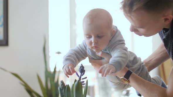 Baby Trying To Touch Flower alt