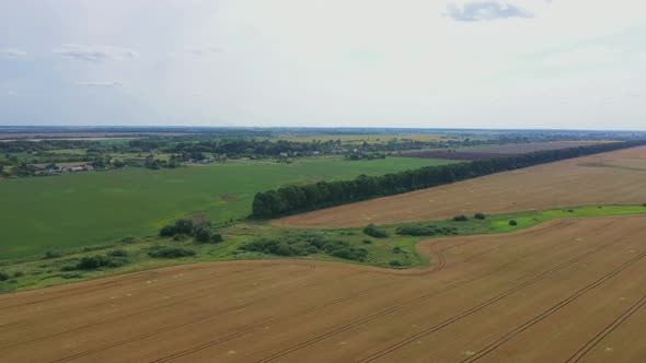 Aerial View Field Near A Small Village