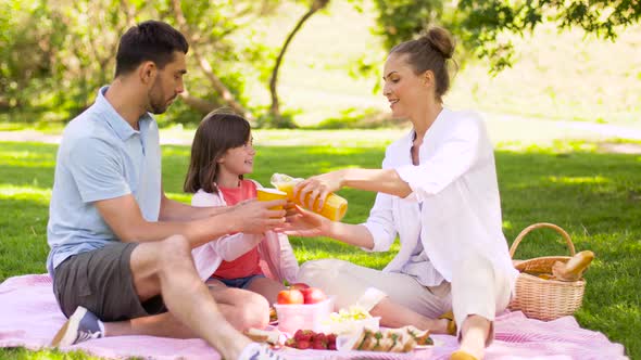Happy Family Drinking Juice on Picnic at Park