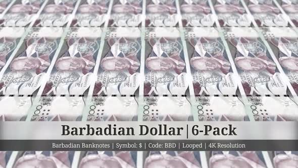 Barbadian Dollar | Barbados Currency - 6 Pack | 4K Resolution | Looped