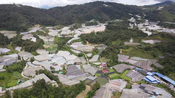 Cameron Highlands, Pahang Malaysia