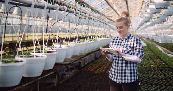 Gardener Using Digital Tablet at Greenhouse