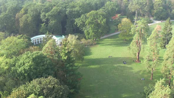 Beautiful flight over the park in summer. Trees with green leaves.