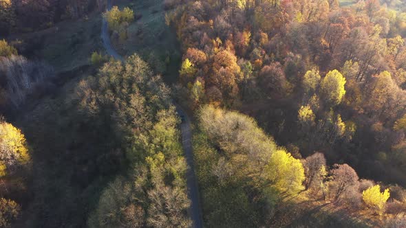 Car On The Road Through The Autumn Forest