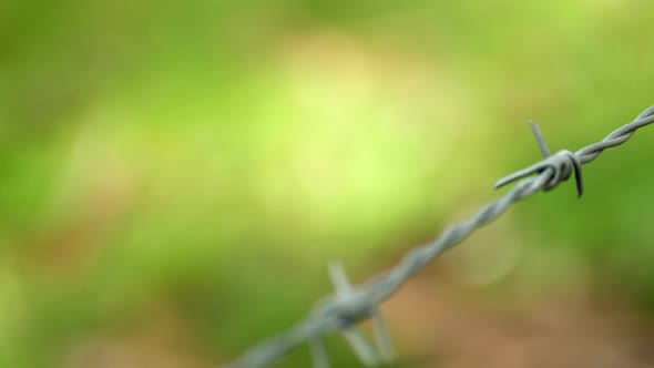 Barb wire fence with blurred background, CLOSE UP, PAN RIGHT