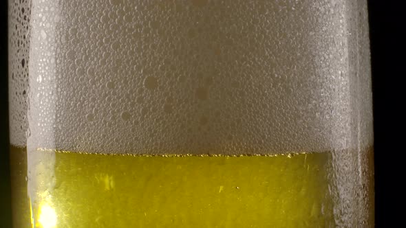Fresh Beer Fizzling in Glass