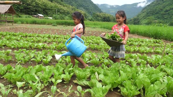 Two Little girls In Vegetable Garden alt