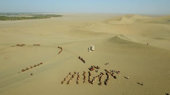 Many Caravans Traveling Through the Gobi Desert