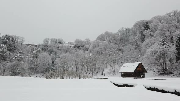 Winter Falling Snow alt