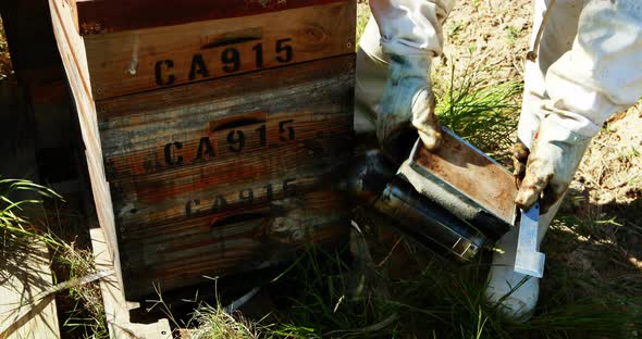 Beekeepers smoking the bees away from hive