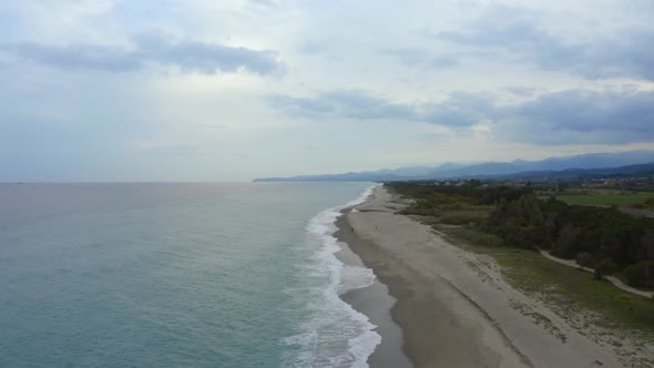 Stormy ocean in cloudy day with Pine Forest on the Beach