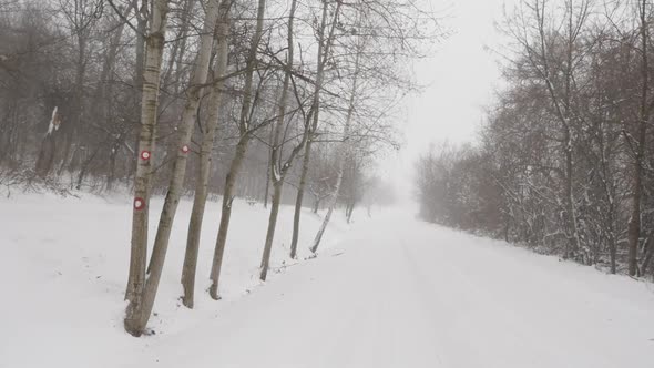 Forest frozen by winter slow motion 1920X1080 HD video - Snow covers hills and road slow-mo 1080p Fu