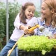 Farming Gardening and People Concept - VideoHive Item for Sale
