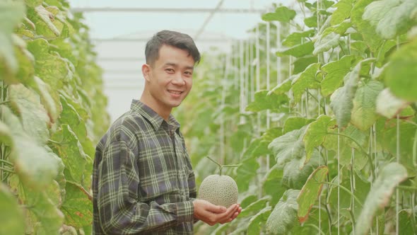 Asian Farmer Holding Melon And Smiles To Camera In Green House Of Melon Farm