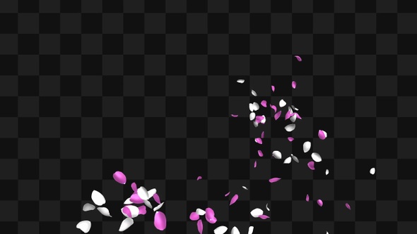 Flying Rose Petals Package