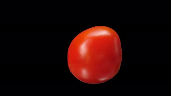 Realistic Red Tomato Rotating With Alpha Channel