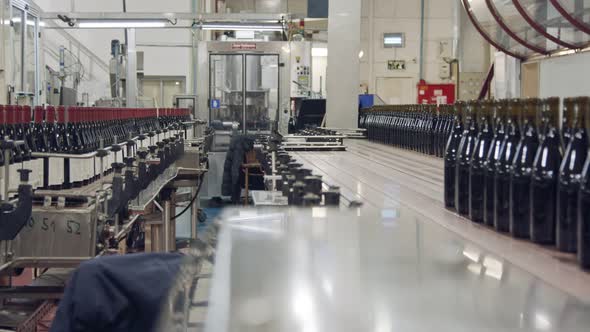 Red Wine bottles on a conveyor belt in a wine bottling factory.