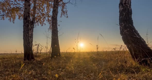 Meadow Timelapse at the Summer or Autumn Time