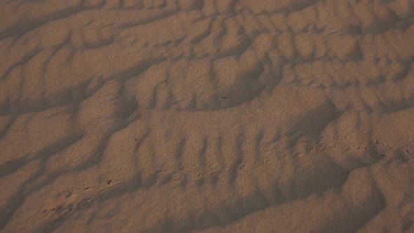 A Woman in a White Dress Barefoot is Walking Along the Desert Sand