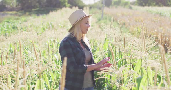 Video of happy caucasian woman using tablet in field on sunny day