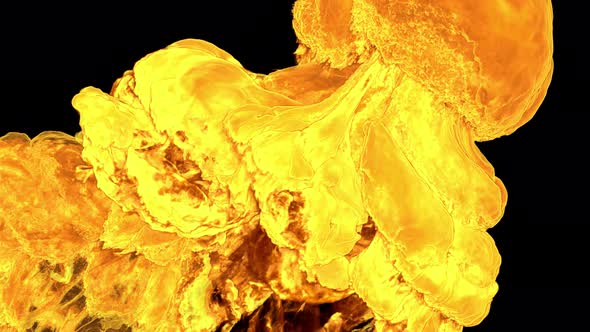 Fire Blazing On Alpha alt