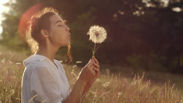 Beautiful Young Woman Blows Dandelion in a Wheat Field in the Summer Sunset. Beauty and Summer