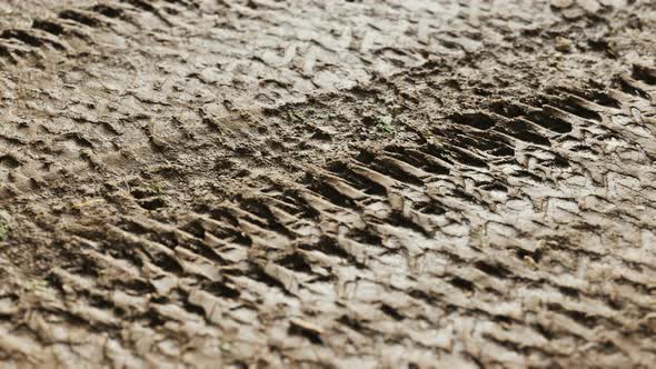 Wheel Tracks on Rough Road alt