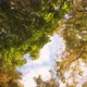 Green And Yellow Trees Against Blue Sky. Look Up View In Forest Or Park. Slow Motion Steadycam - VideoHive Item for Sale