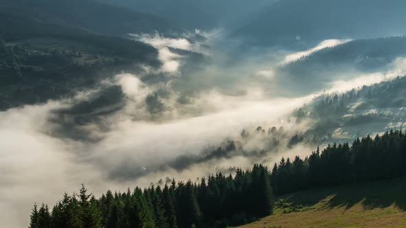 Mystic Foggy Morning