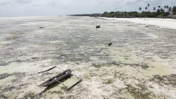 Beautiful Beach Near the Coast of Zanzibar Island Tanzania