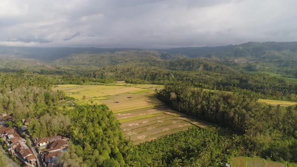 Tropical Landscape with Agricultural Land in Indonesia